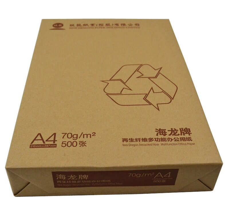玖龙海龙牌系列A4/80克复印纸 再生白纸80克 500张×5包（计价单位：箱）