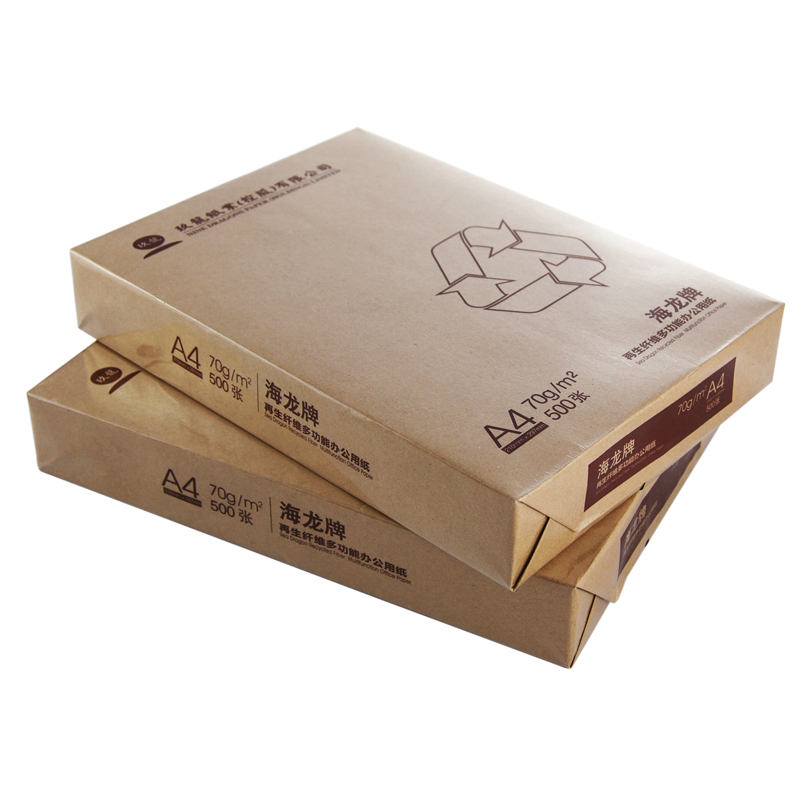 海龙环保装复印纸A4/70g 500张/包 5包/箱（箱）