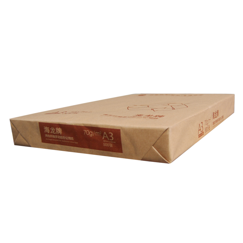 海龙环保装复印纸A3/70g 500张/包 5包/箱（箱）