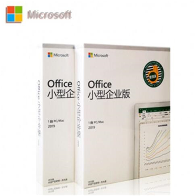微软office2019小企业版FPP软件/微软彩包/光盘+标签/渠道版（套）