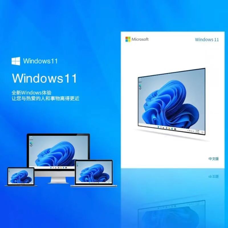 微软（Microsoft）windows 11中文专业版企业授权（单位：套）