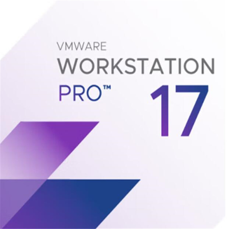 VMware Workstation 16 Pro for Linux and Windows  ESD  1年支持服务（套）