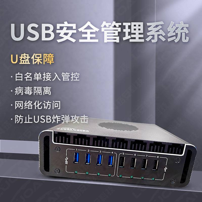 珞安LAUG-100-D USB电网版安全管理系统（含安装调试及配套安全U盘）（台）
