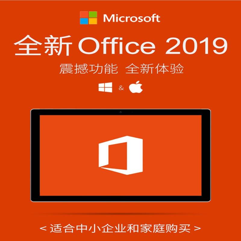 微软Office 2019 专业版彩包（套）