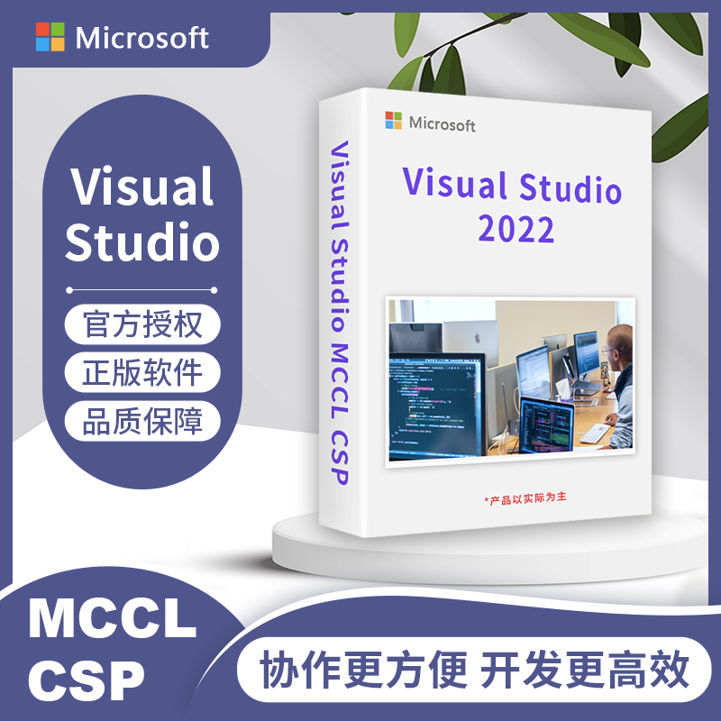 微软visual studio 2022专业版（套）