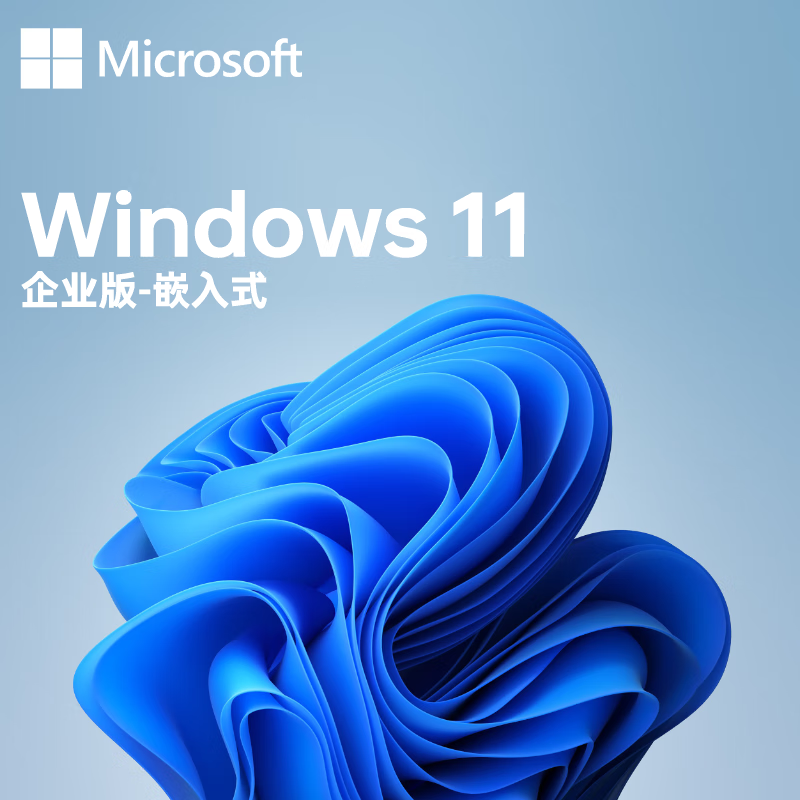 微软 Windows11企业版（套）