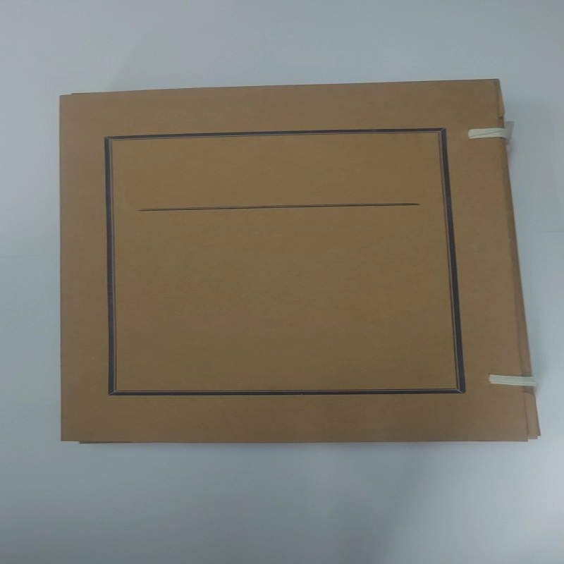 国产定制文书档案盒310*220*30mm（单位：个）