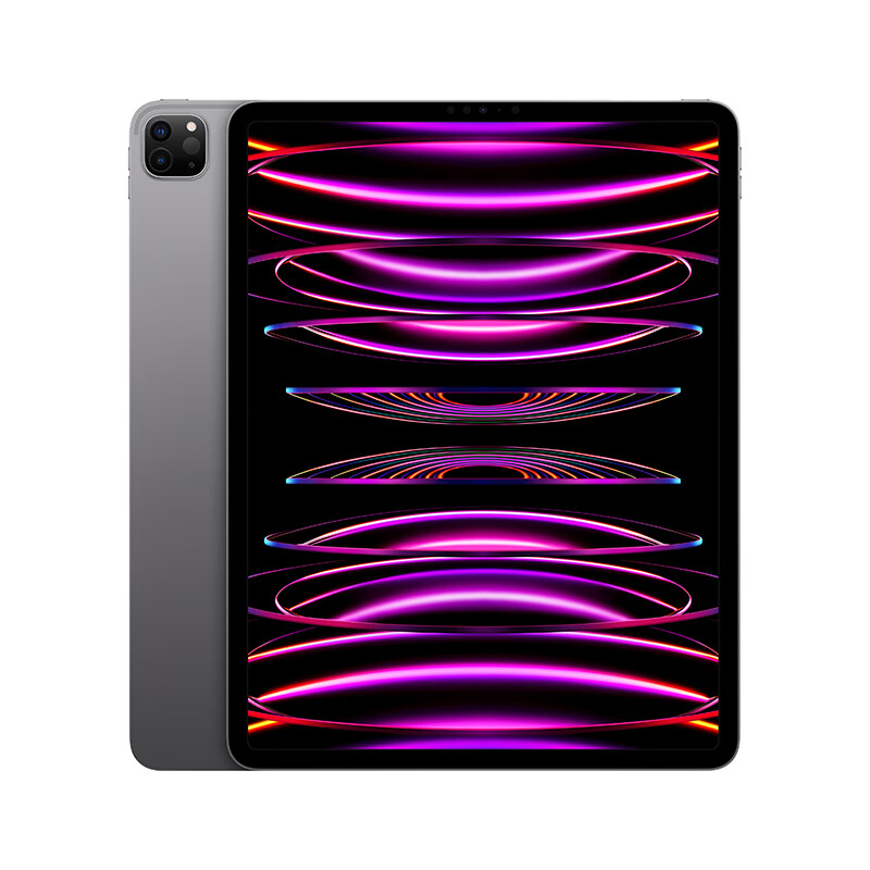 Apple iPad Pro 12.9英寸 平板电脑 256G MNXR3CH/A 深空灰色（台）