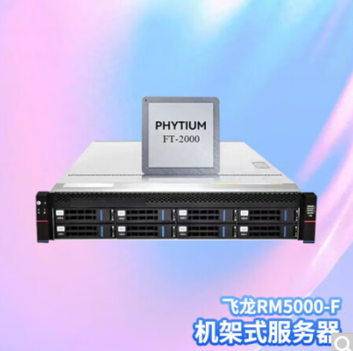 超越申泰飞龙RM5000-F服务器 FT2000+/64/256G/512G SSD+2T*2/2G缓存/四千四万/双电/银河麒麟系统GFB(单位：台)