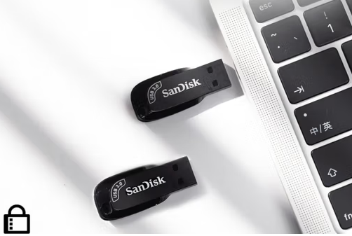 闪迪 (SanDisk) 256GB+USB3.0+U盘+CZ410酷邃+读速100MB/s+小巧便携+密码保护+商务办公学习优选(个）