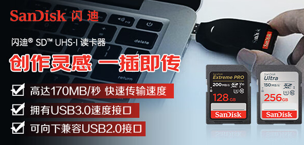 闪迪（SanDisk）256GB SD内存卡 U1 C10 至尊高速存储卡 读速150MB/s 全高清视频 数码相机理想伴侣（单位：个）