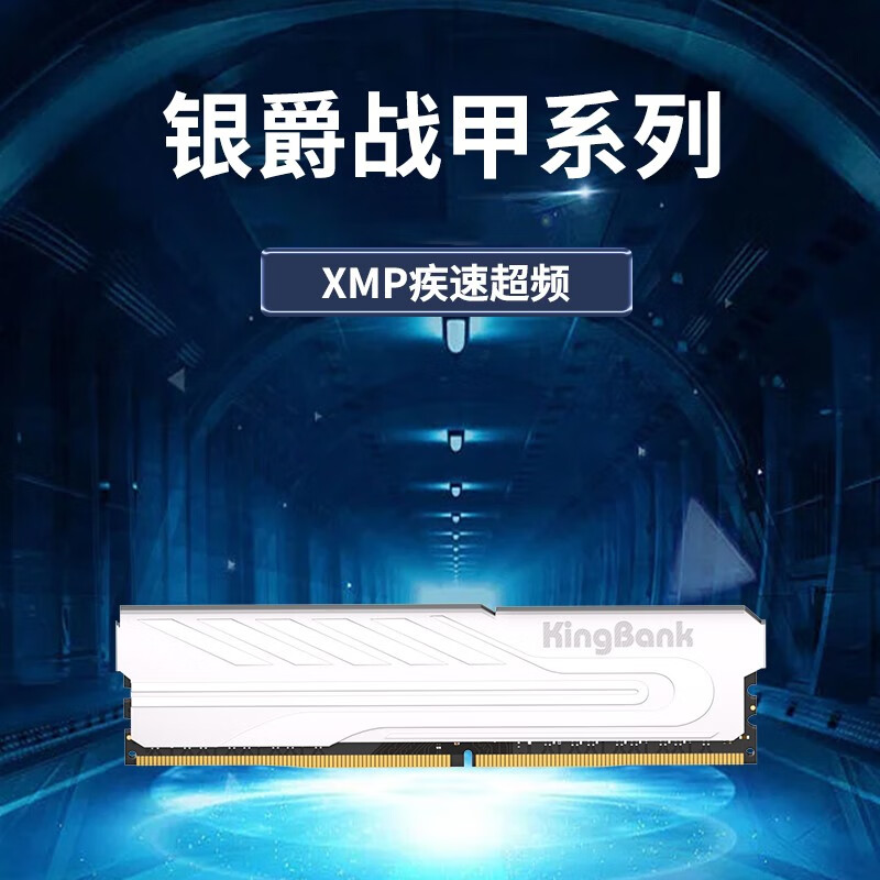 金百达（KINGBANK） 银爵内存条套条 DDR5 16G(8*2)（单位：条）