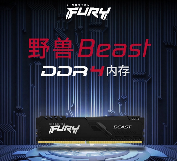 金士顿（Kingston）FURY 8GB DDR4 3600内存条 Beast野兽系列 骇客神条(单位：个)