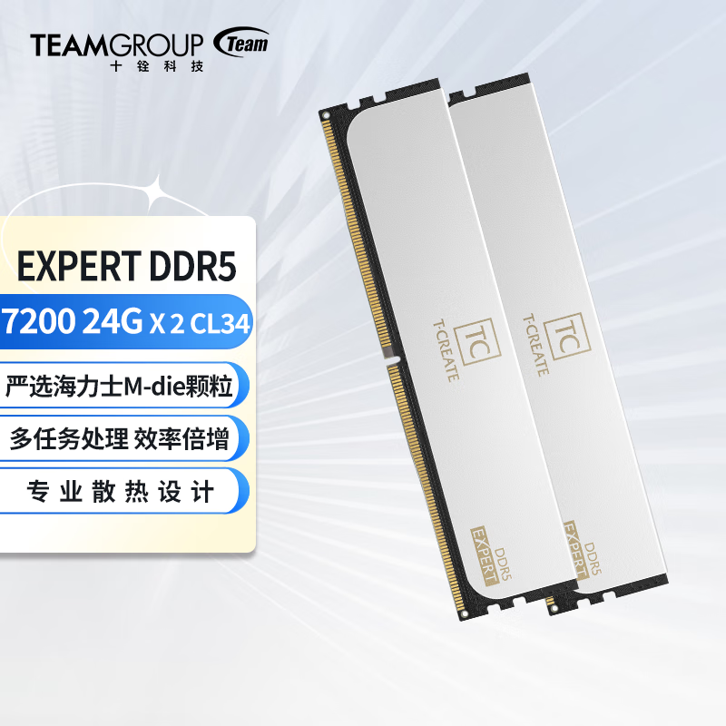 十铨科技 DDR5 48G(24Gx2) 7200 内存条 C34 白（单位：个）