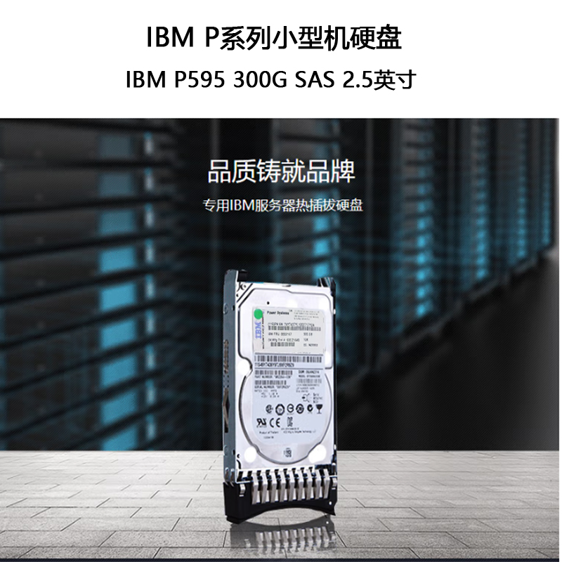 IBM P595 300G SAS 2.5英寸P系列小型机硬盘（套）