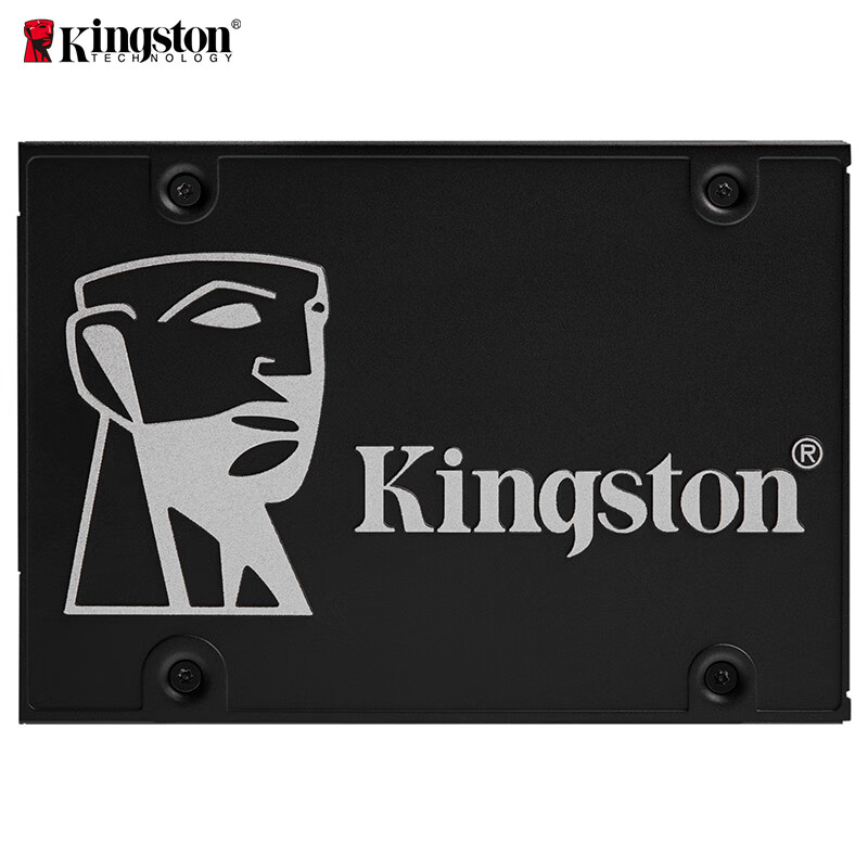 金士顿（Kingston）256GB固态硬盘固态硬盘(单位：个)