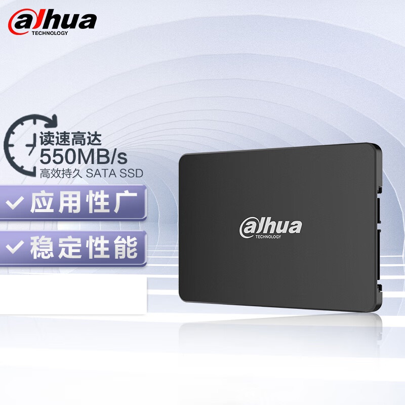 大华E800商用级固态硬盘256G/SATA接口（个）