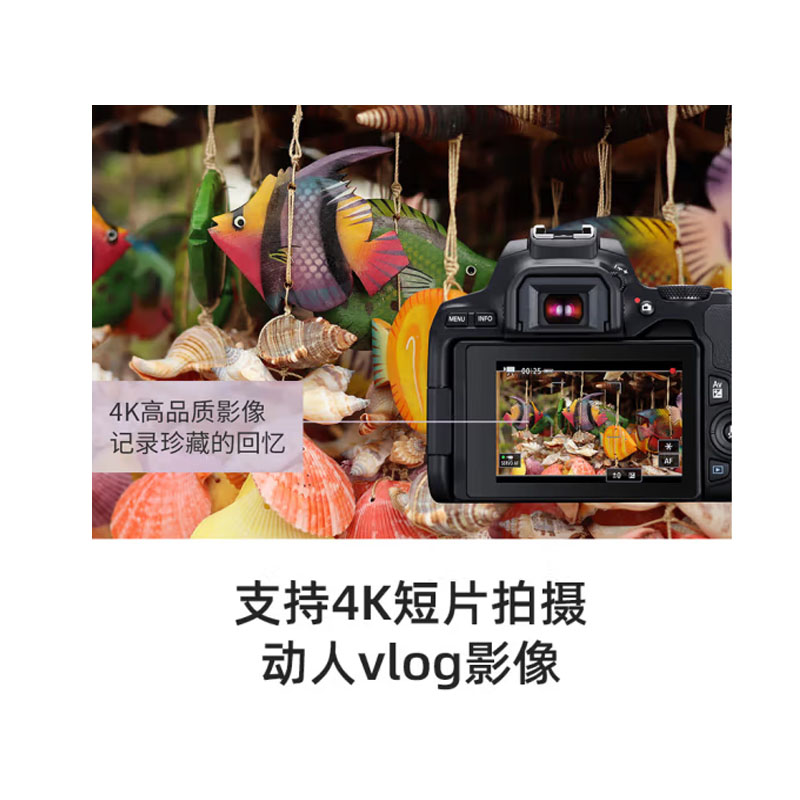 佳能（Canon）EOS 200D2 II 二代 单反相机(单位：台)