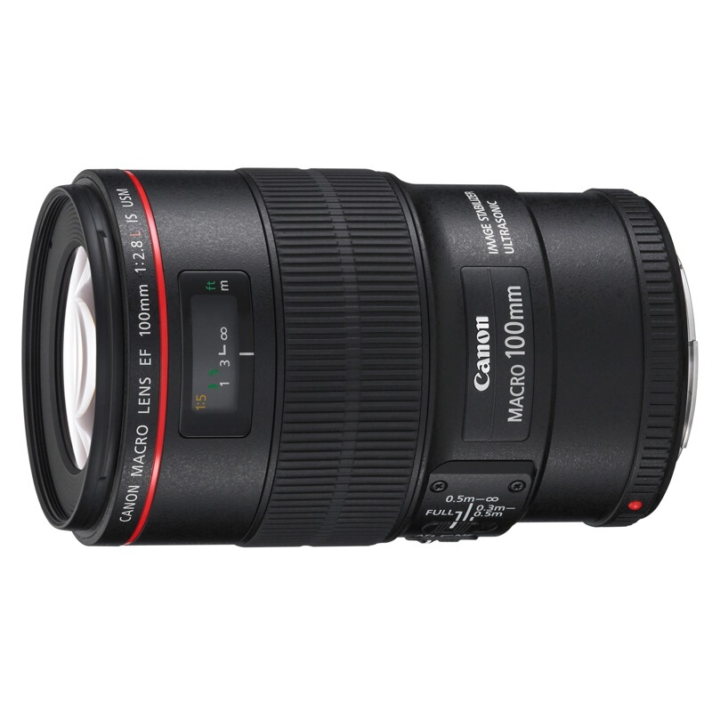 佳能（Canon）EF 100mm f/2.8L IS USM微距镜头（个）