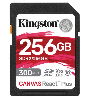 金士顿MLPR2/256G SD存储卡（单位：个）