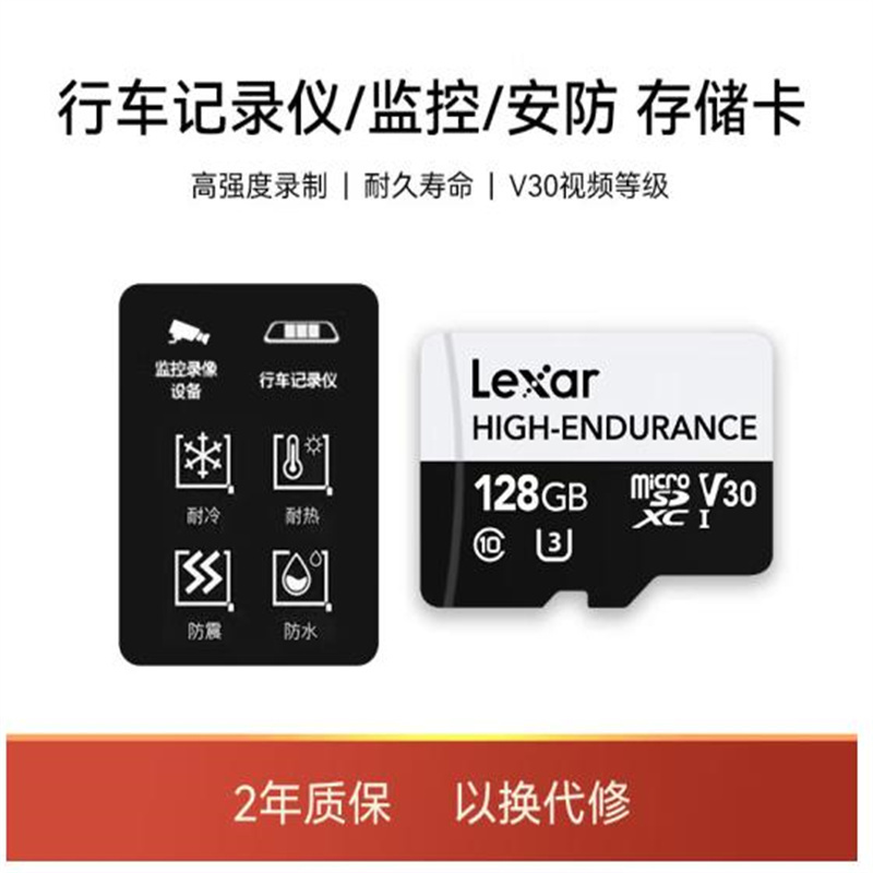 雷克沙LSDM10-128G TF 高耐用卡 128GB(个)