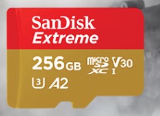 闪迪SDSQXCZ-256G-ZN6MATF存储卡至尊极速移动版内存卡（个）