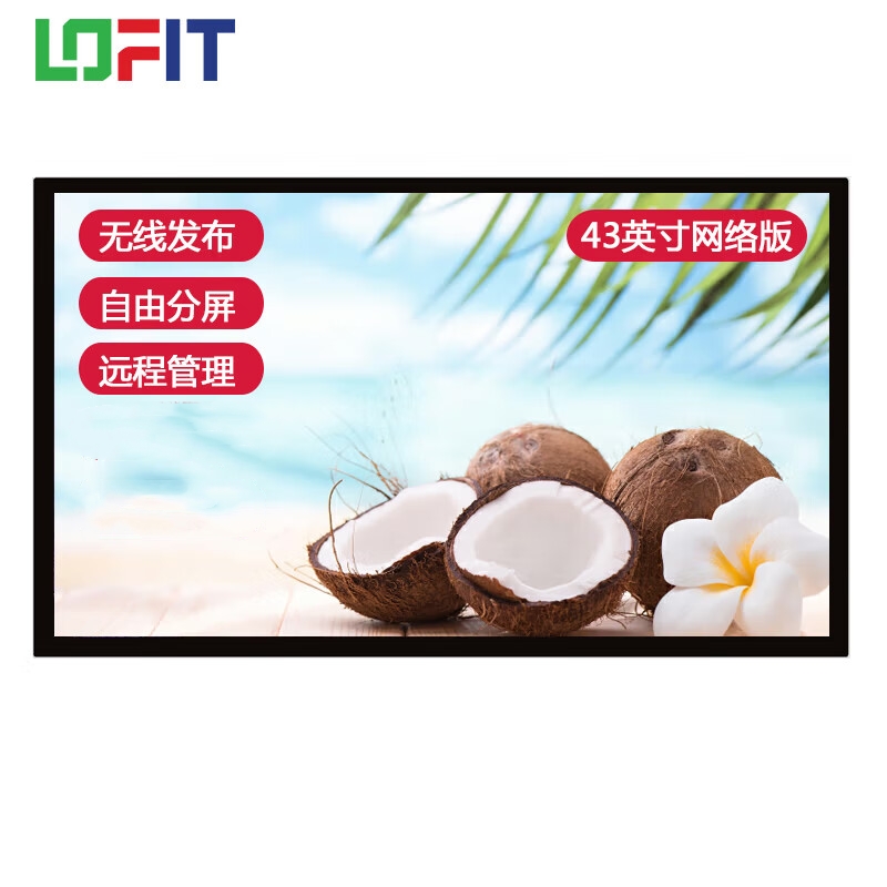 洛菲特（LOFIT）壁挂广告机 LFT43QX-H40X 43英寸 安卓非触摸网络版(单位：台)