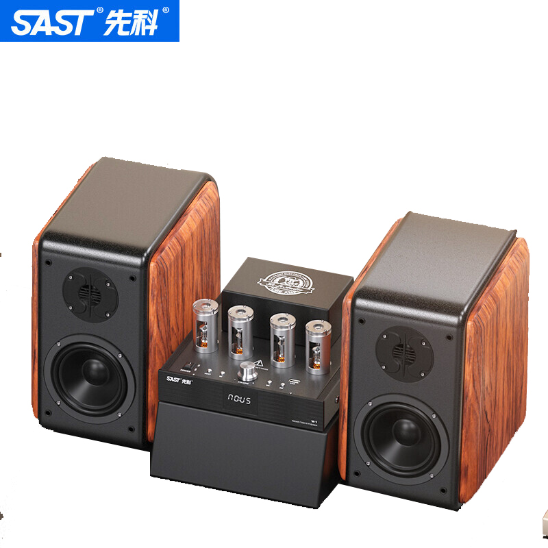 先科（SAST）W-1 胆机组合音响套装（W-1胆机+6.5吋无源音箱）（套）