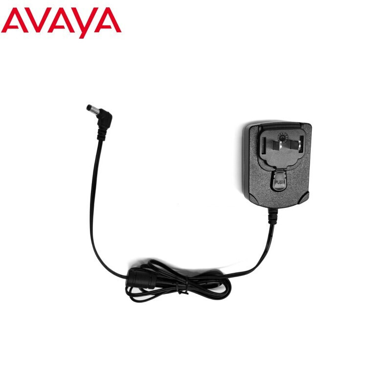 亚美亚(Avaya） 5V通用电源适用1600 J139 J169 J179 等IP话机两孔(个)