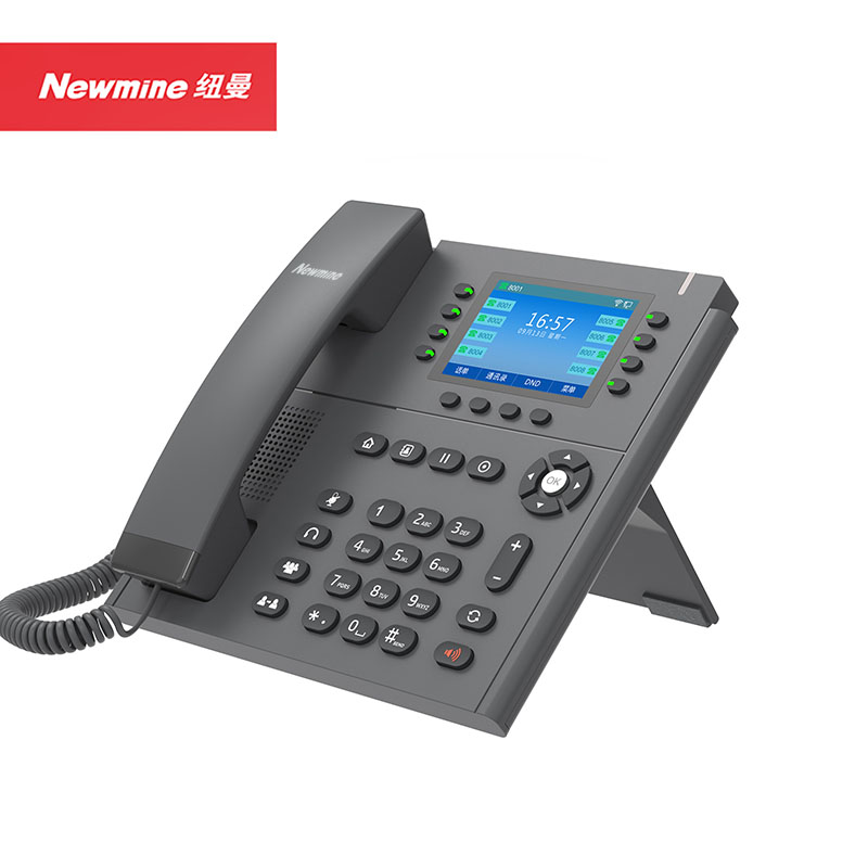 纽曼(Newsmy) HL2008TSD-618(R)  IP电话机 (计价单位：台) 黑色