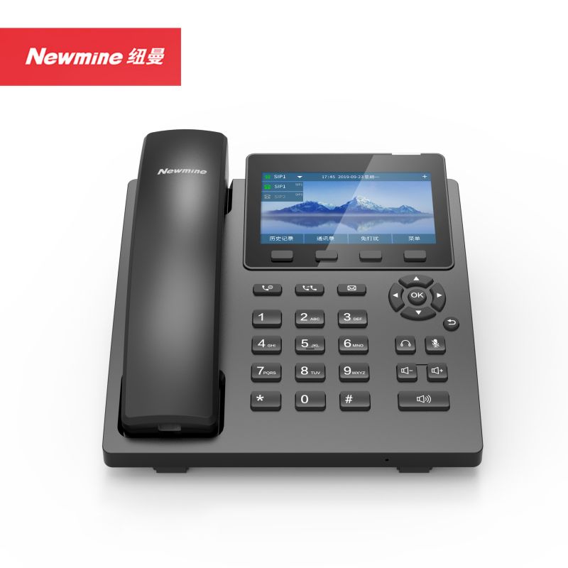 纽曼(Newmine) PSTN有线/SIP网络电话 录音4000小时 WEB浏览器管理 多方会议通话 HL2008TSD-678（R）(单位：台)黑色