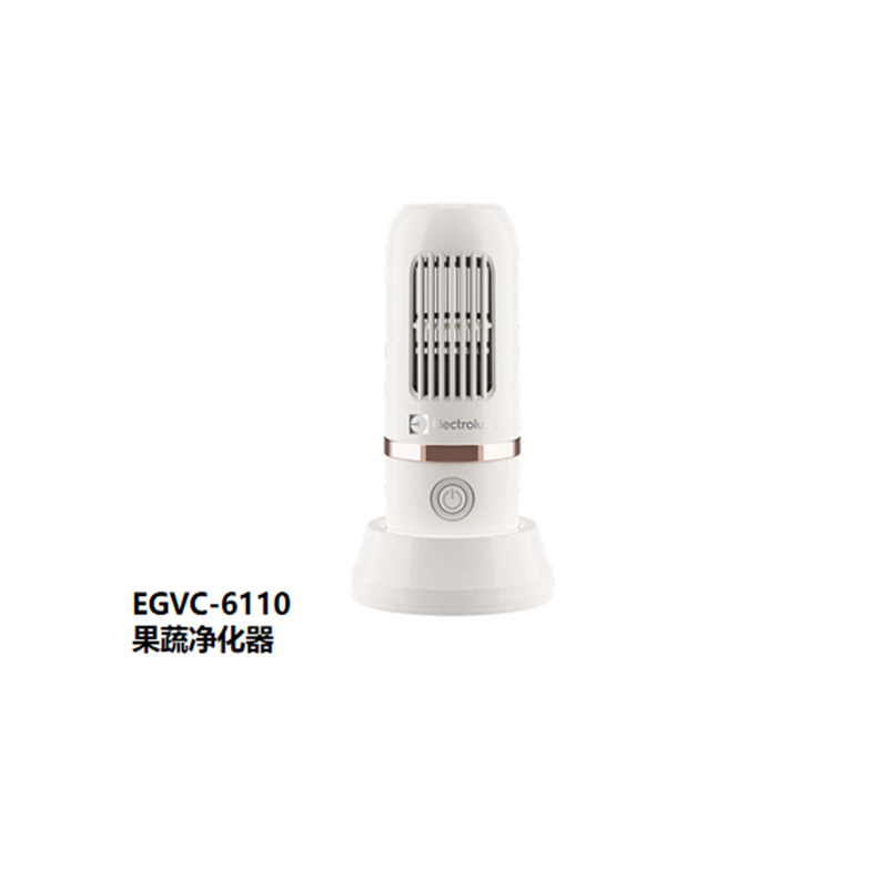 伊莱克斯（Electrolux）EGVC-6110果蔬净化器(单位：台)