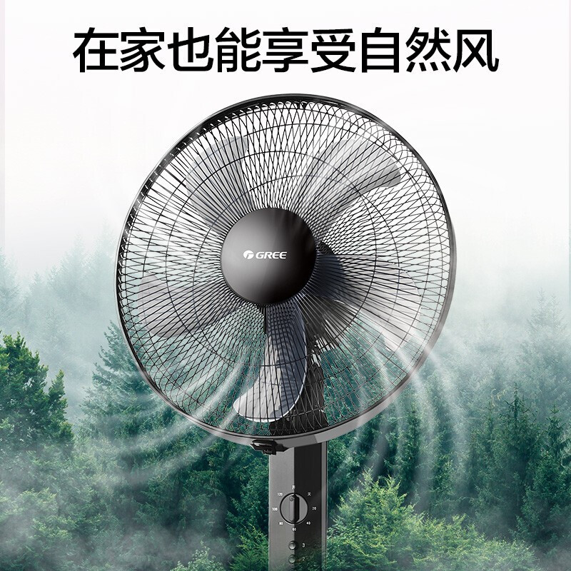 格力 FD-4012-WG 电风扇 家用节能低噪舍机械五叶扇 黑色（台）