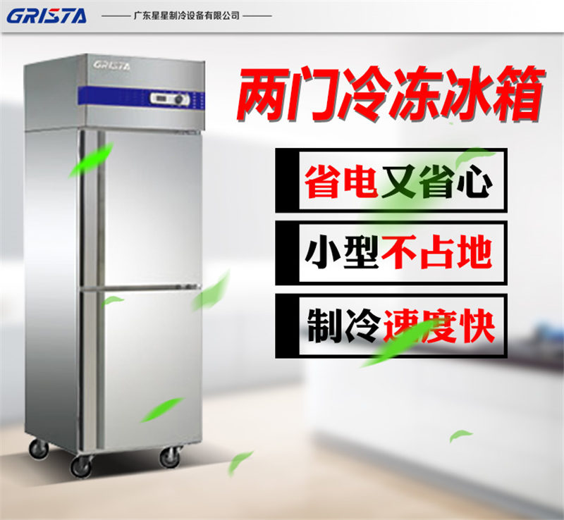星星（XINGX）D500E2－GX 直冷 336L 冷冻 一级能效 双门立式商用冰柜（台）