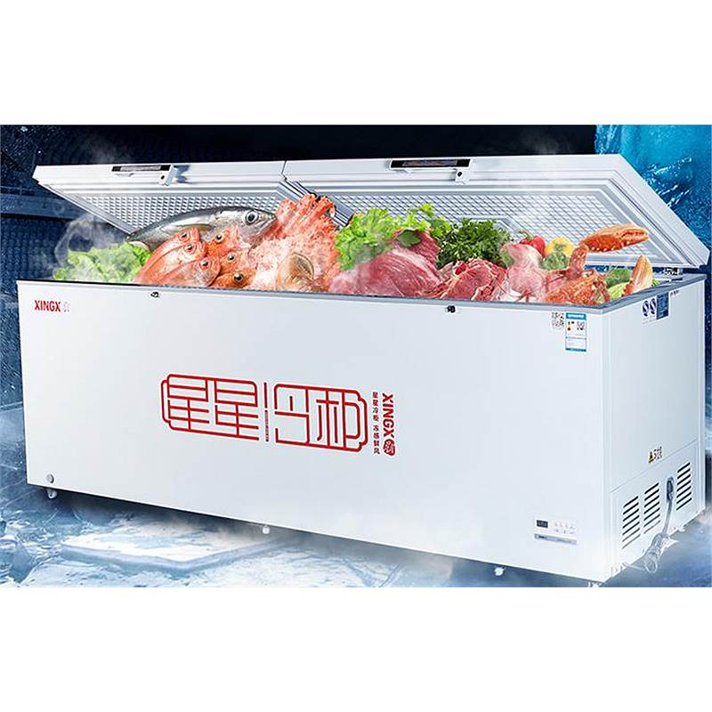 星星 XINGX 956升商用大冷柜卧式冷柜数码温显冷藏冷冻转换柜商超冰柜单温单箱BD/BC-956JA（台）
