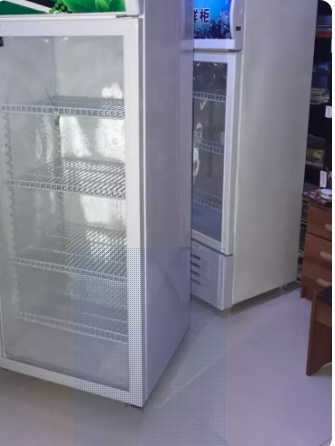 星信达 冰柜小冰箱 白53*53*85cm风冷带温度显示双锁（单位：台）