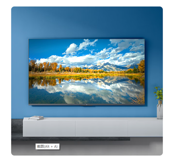 小米（MI）EA65平板电视机 65英寸（台）