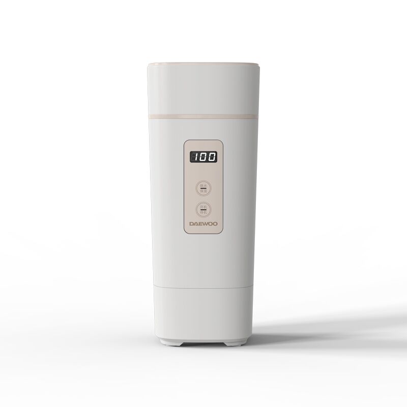 DAEWOO韩国大宇 D2 升级版便携式旅行电热水壶（白色）(台)