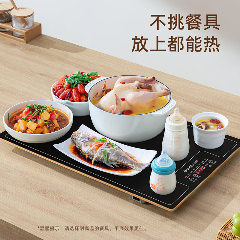 志高（CHIGO）ZG-QF02H暖菜板加热菜板60*40cm(单位：台)