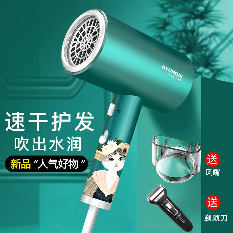 现代HYUNDAI-猫森林冶愈系护理电吹风+剃须刀 套装 YH3990（件）