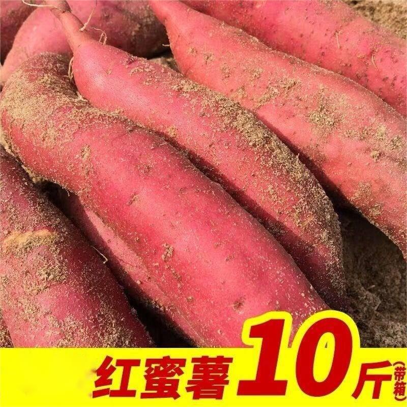 国产沙地红薯蜜薯10斤（箱）