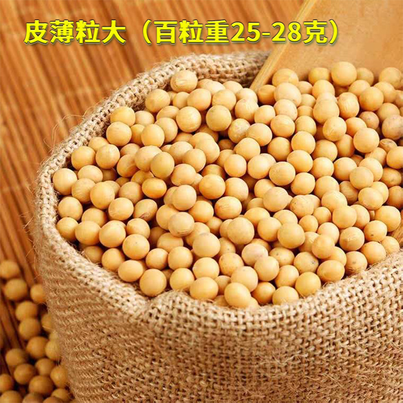 博采黄豆20kg（袋）
