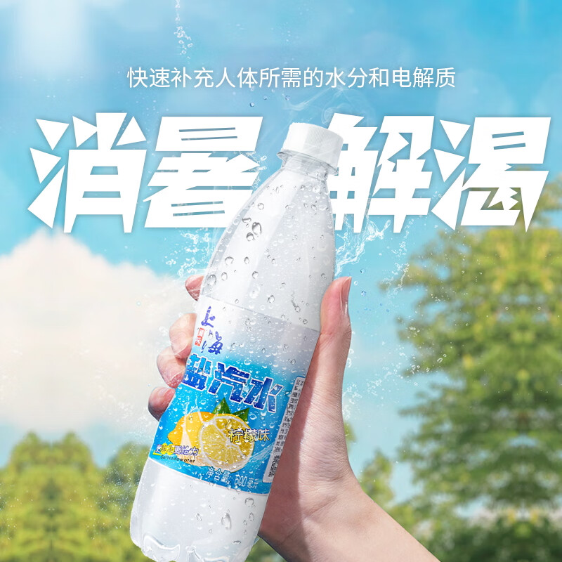 上海牌盐汽水 柠檬味夏季运动解渴盐水饮料600ml*24瓶整箱(单位：瓶)
