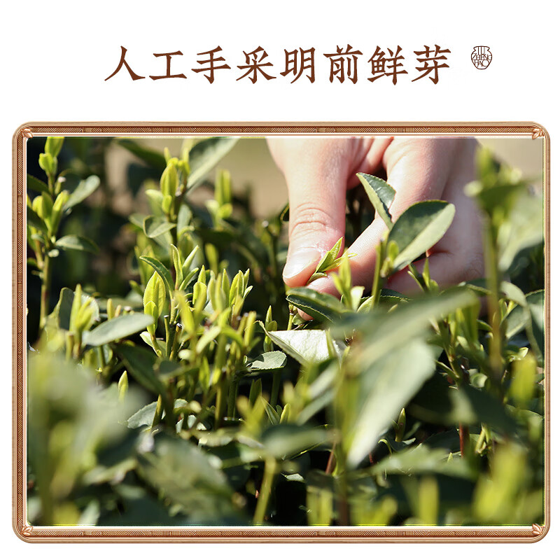 卢正浩 2023新茶绿茶明前特级西湖龙井茶叶自己喝狮峰山脉春茶纸包150g(包)