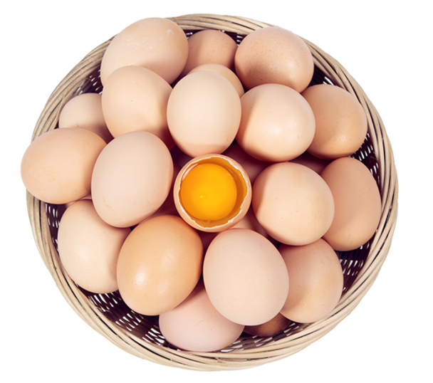 散养土鸡蛋 农家鲜鸡蛋柴鸡蛋草鸡蛋笨鸡蛋 土鸡蛋 土鸡蛋50枚 净重1800g（箱）