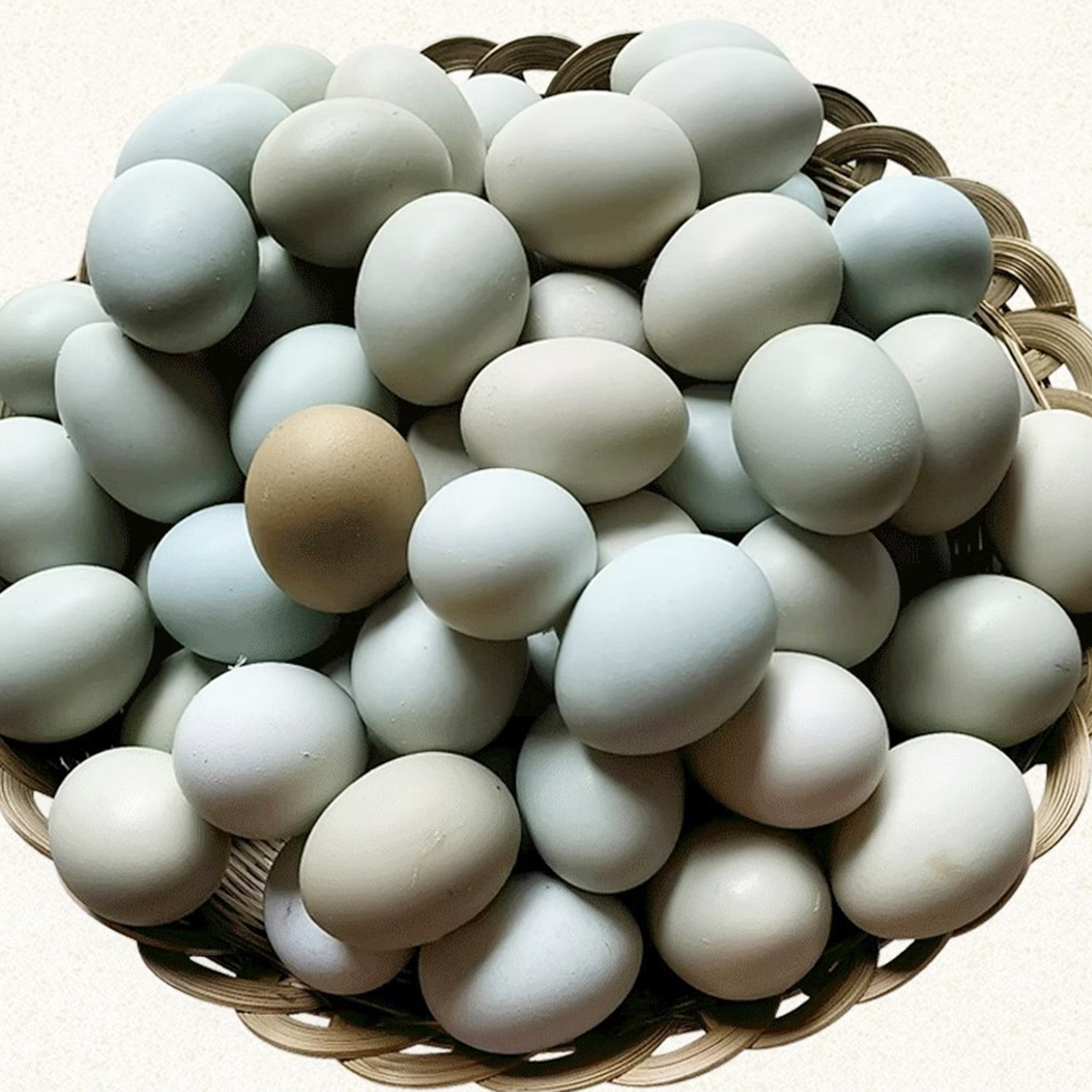 土鸡蛋40枚 农家散养 鲜鸡蛋(单位：盒)