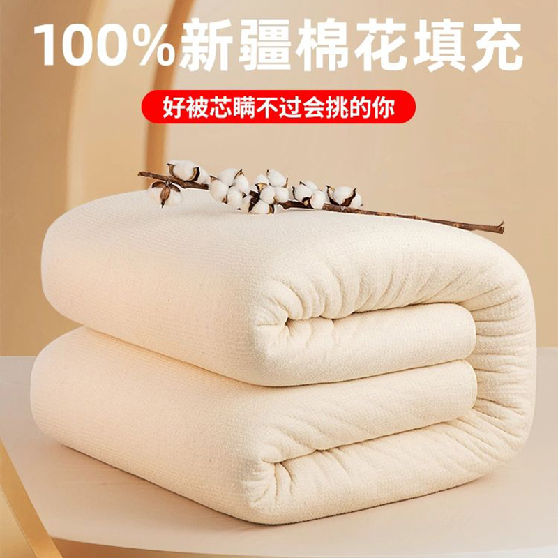 德世朗棉花被垫被被芯1.8米x2.0米 8斤（单位：件））