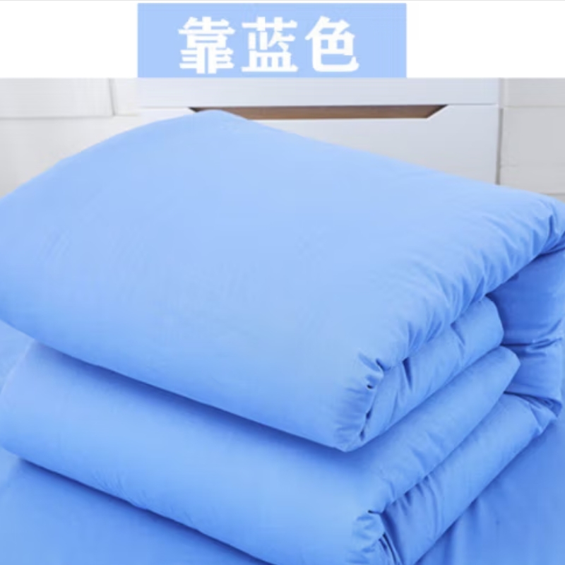 册宣 150×200cm±5cm 防寒保暖单人床棉花被子靠蓝色（床）