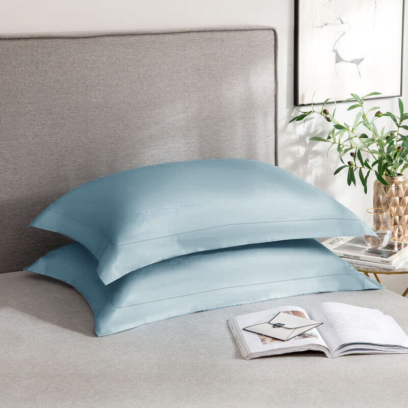 源生活 纯棉枕头套 全棉刺绣枕头罩一对信封式枕芯套两个装 48x74cm冰蓝(个)