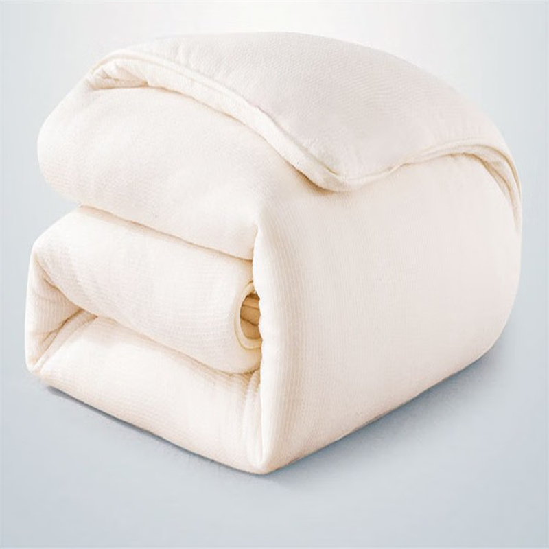 源生活 2米床褥子棉花被春秋被子薄款2x2.3米 3斤（张）